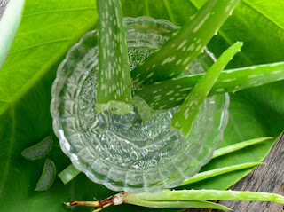 Aloe vera How to remove scar Naturally