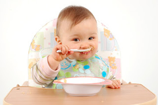 Babies Should Eat Organic Food Babies Should Eat Organic Food