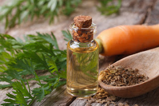 Carrot Seed Oil Carrot Seed Oil-Best Essential Oils for Aging Skin
