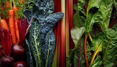 Mixture of vegetables