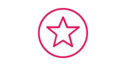 Favourite icon