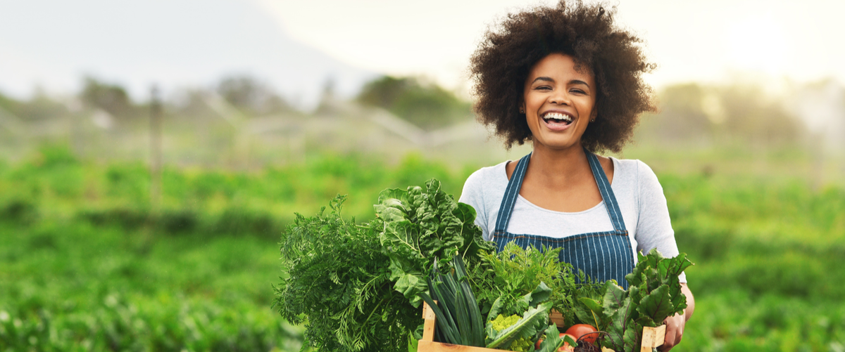 Woman field vegetables seasonal